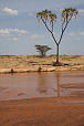  015 Oblast Samburu, pobl Archer's Post
 
 .15 - 15.jpg (400x600) 46 kB 